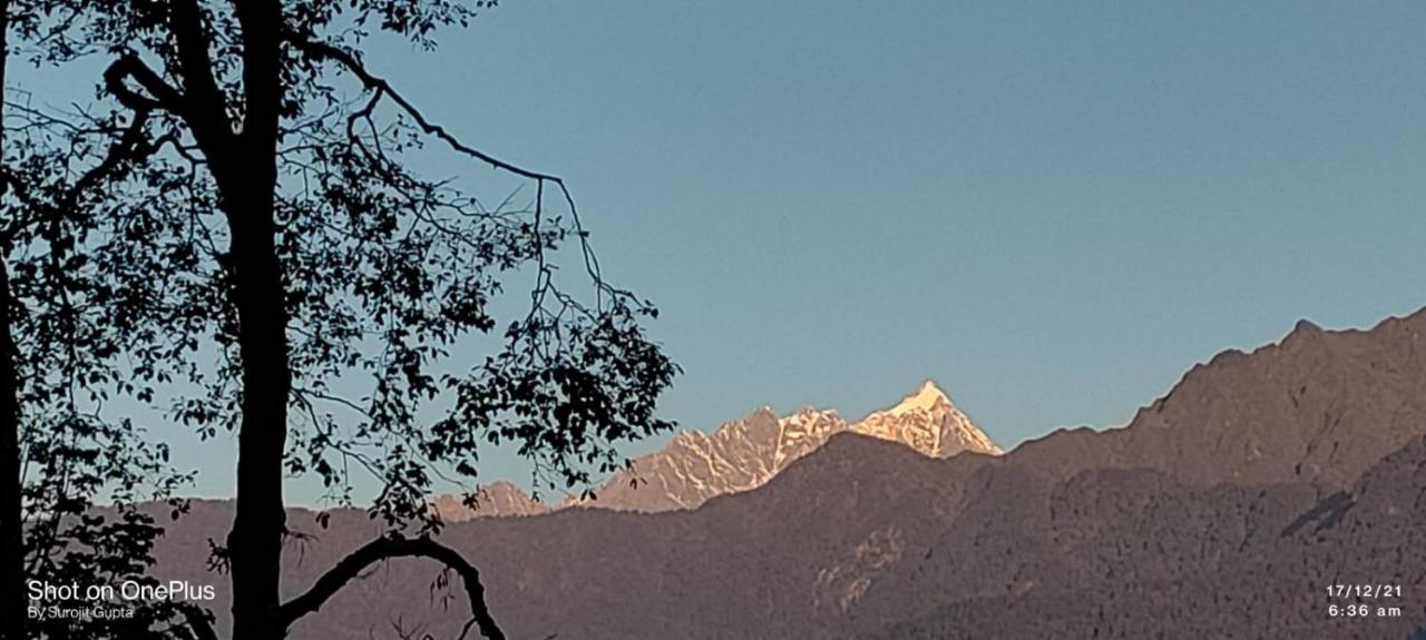 Log Cabin In The Woods Bed and Breakfast Gangtok Exterior foto